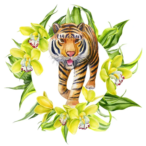 Τίγρης, τροπικά φύλλα φοίνικα και ορχιδέες λουλούδια ζωγραφισμένα στο χέρι ακουαρέλα, αφίσα — Φωτογραφία Αρχείου