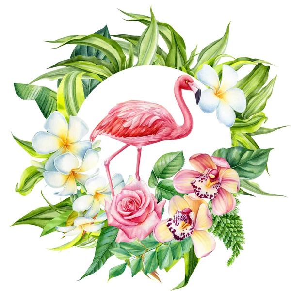 Flamingo, folhas de palmeiras tropicais e flores de orquídeas pintadas à mão aquarela, cartaz — Fotografia de Stock