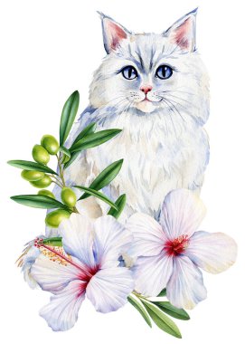 White Cat with Blue Eyes and Hibiscus Flowers Watercolor Illustration for design. Floral portrait cute kitten. High quality illustration