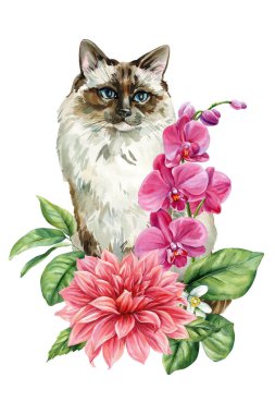 White Cat with Pink Orchid and Dahlia Flowers Watercolor Cozy Illustration, Cute animal for design. High quality illustration