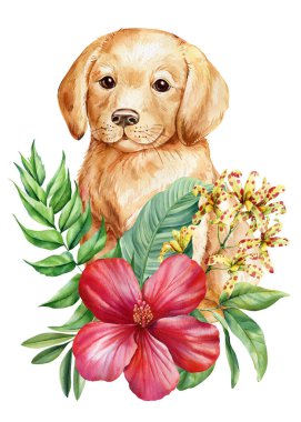 Golden Retriever Puppy with Red Hibiscus and Tropical Leaves Watercolor Illustration. Floral art for home decoration posters . High quality illustration
