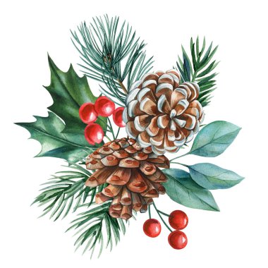 Pine cones with holly leaves and red berries watercolor winter botanical arrangement for seasonal holiday decor. High quality illustration