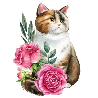 Calico cat with pink roses watercolor floral illustration with botanical leaves. High quality illustration