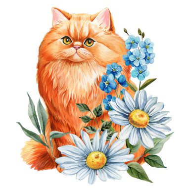 Orange fluffy cat with daisies and blue forget me not flowers watercolor botanical pet illustration for spring decor and floral designs. High quality illustration
