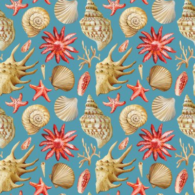 Deniz kabukları deniz yıldızı kırmızı mercan suluboya deniz deseni kıyı kabukları ve yaz plaj tasarımı için okyanus unsurları. Yüksek kaliteli illüstrasyon