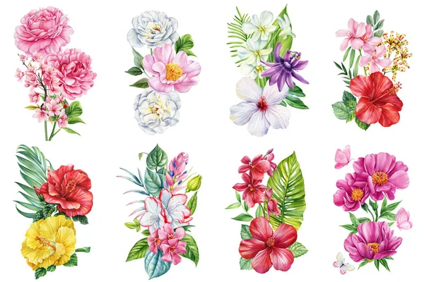 Hibiscus, Orkideler, Şakayıklar ve Egzotik Yapraklar Koleksiyonu ile Tropik Suluboya Çiçek Seti. Yüksek kaliteli illüstrasyon