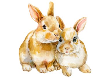 Tavşan tavşanlar suluboya çifti kahverengi beyaz arka planda sevimli bahar Paskalya çocuk odası duvar resimleri üzerinde oturuyorlar. Yüksek kaliteli illüstrasyon