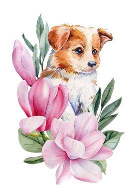 Pembe manolya çiçekli Golden retriever köpek yavrusu. Bahar duvarı sanatı için suluboya köpek resmi. Yüksek kaliteli illüstrasyon