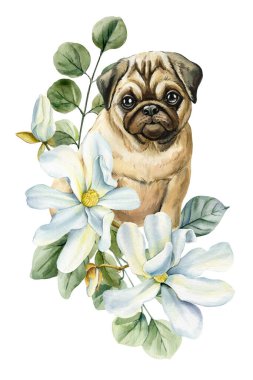 Beyaz manolya çiçekli köpek yavrusu. Bebek odası ve ev dekorasyonu için çiçek boyalı köpek resmi. Yüksek kaliteli illüstrasyon