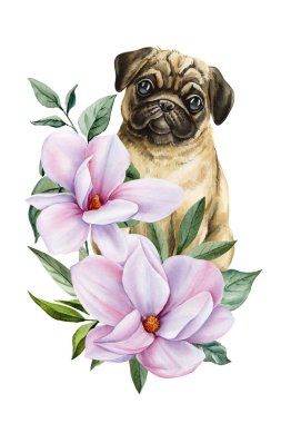 Pembe manolya çiçekli köpek yavrusu romantik çocuk odası dekorasyonu için suluboya köpek resmi. Yüksek kaliteli illüstrasyon