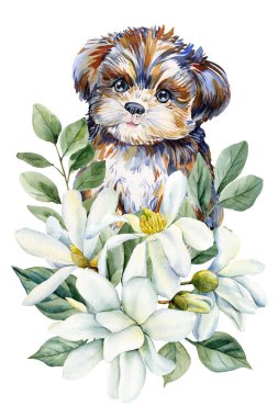 Beyaz manolya çiçekli köpek yavrusu bahar çocuk odası sanatı için çiçek rengi köpek portresi. Yüksek kaliteli illüstrasyon