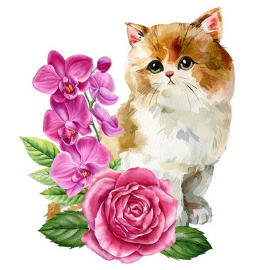 Pembe Gül ve Orkide Çiçekleri ile Şirin Kedicik Suluboya Portresi İzole Edildi. Yüksek kaliteli illüstrasyon