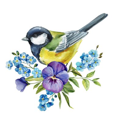 Great tit bird with pansy and forget me not flowers watercolor illustration isolated on white spring wildflower clipart. High quality illustration