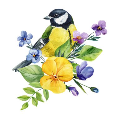 Great tit bird with yellow pansy and violet flowers watercolor illustration isolated on white spring botanical clipart. High quality illustration