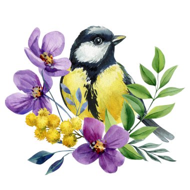 Great tit bird with purple flowers and mimosa watercolor illustration isolated on white spring floral botanical clipart. High quality illustration