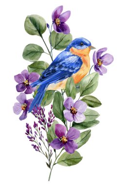 Mor çiçekli mavi kuş, suluboya çizimi, yeşil yapraklı ve çiçekli beyaz bahar botanik kompozisyonu üzerine izole edilmiş. Yüksek kaliteli illüstrasyon