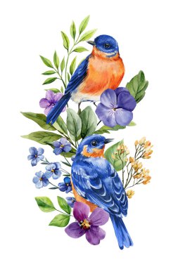 Çiçekli mavi kuş çifti suluboya çizimi beyaz bahar botanik kompozisyonu eşcinsellerle izole edilmiş ve beni unutmayın. Yüksek kaliteli illüstrasyon