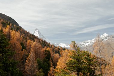 sonbahar görünümü karlı matterhorn, İsviçre
