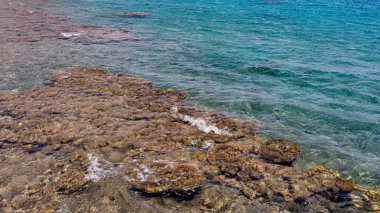 İsrail 'in kızıl denizinde güzel mercanlar