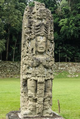 Oyma Maya stella, Copan kalıntıları, Honduras