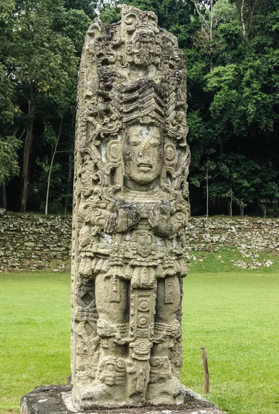 Snidade Maya stella, Copan ruinerna, Honduras Stockbild