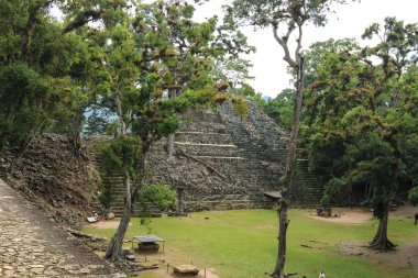 Tapınak kalıntıları, Copan, Honduras
