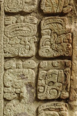 Maya hiyeroglifler, Copan kalıntıları, Honduras