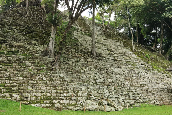 Ruinas del templo, Copán, Honduras — Foto de Stock