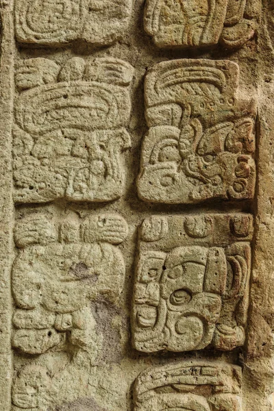 Mayan hieroglyphs, Copan ruins, Honduras — Stock Photo, Image