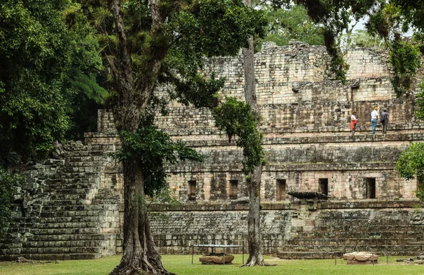 Ruiny świątyni, Copan, Honduras — Zdjęcie stockowe