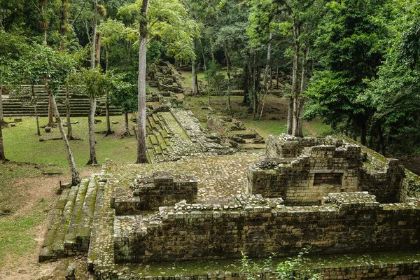 Tempelruiner, Copan, Honduras Royaltyfria Stockfoton