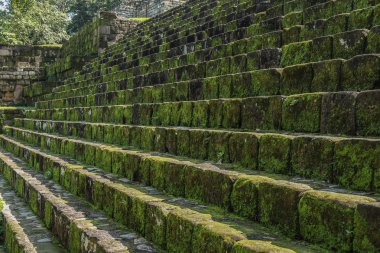 Maya Harabeleri Quirigua, Guatemala, terk edilmiş bir tapınakta taş adımları.