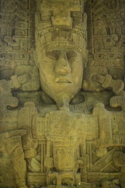 Maya duran taşlar, Quirigua Harabeleri, Guatemala