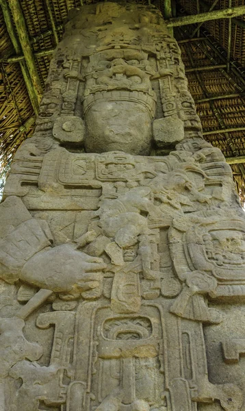 Mayan standing stones, Quirigua ruins, Guatemala — Stock Photo, Image