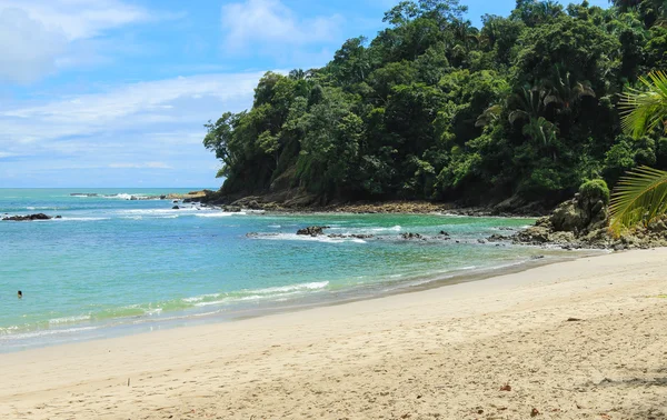 Tropischer strand, manuel antonio, costa rica lizenzfreie Stockbilder