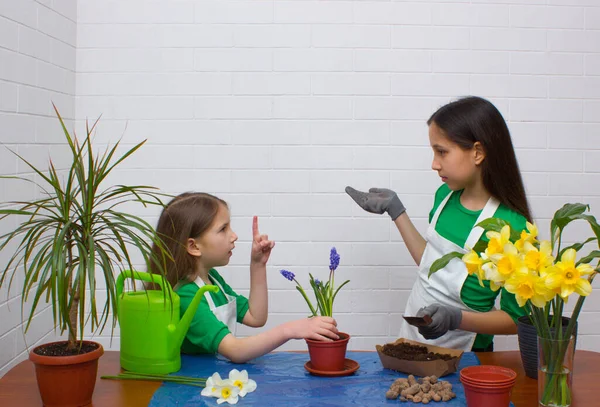 Two girls sisters with light and dark hair, dressed in green T-shirts and aprons, transplant flowers. The youngest girl points up with her index finger to have an idea.