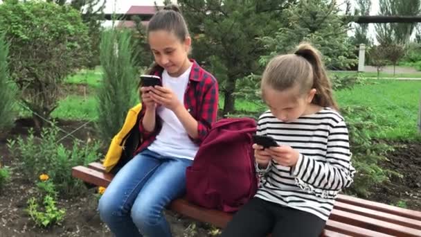 Zwei Schwestern, eine Brünette und eine Blondine, sitzen an einem klaren, sonnigen Tag im Park und nutzen begeistert Telefone für die Kommunikation im Messenger, auf der Suche nach Informationen, Unterhaltung — Stockvideo