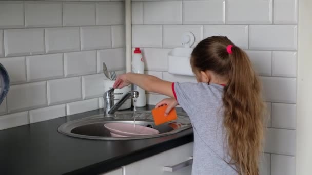 Una ragazzina con una maglietta grigia lava un piatto in cucina. Il concetto di aiutare i genitori, l'indipendenza — Video Stock