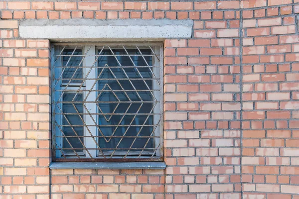 Persianas Ventana Línea Rejilla Segura Las Plantas Del Artista — Foto de Stock