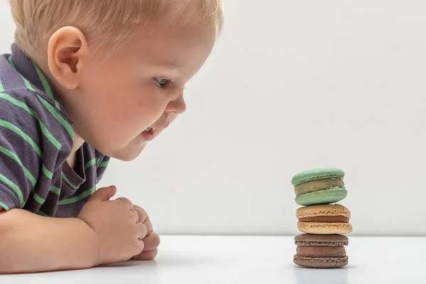 A kisfiú színes macaroonokat néz. kiváló minőségű. — Stock Fotó