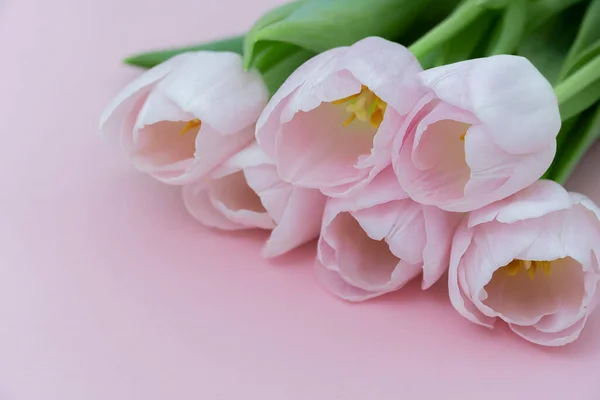 Bukiet Różowych Tulipanów Różowym Papierowym Tle Wiosenna Makieta Miejscem Tekst — Zdjęcie stockowe