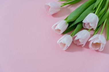 Pembe kağıda basılmış bir buket pembe lale. Bahar kartı maketi ve mesaj için yer. Beş çiçek lale yakın plan. İlkbahar ve Paskalya 'nın sembolü.