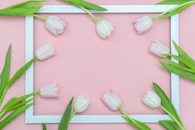 Pembe arka planda birçok beyaz laleye sahip hafif ahşap çerçeve var. Üst görünüm, alanı kopyala