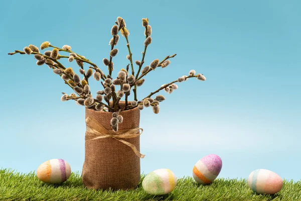 Easter Eggs Pussy Willow Grass Blue Background High Quality —  Fotos de Stock