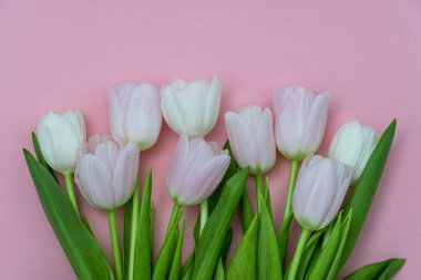 Tebrik kartı, duvar kağıdı, fon. Anneler Günün kutlu olsun, Paskalya, Sevgililer Günü ya da Düğün. Gül gibi arka planda yumuşak pembe laleler