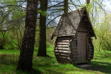 Ormandaki eski ahşap küçük ev