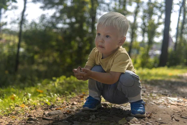 Kisfiú Köveket Gyűjt Parkban Egy Napsütéses Napon — Stock Fotó