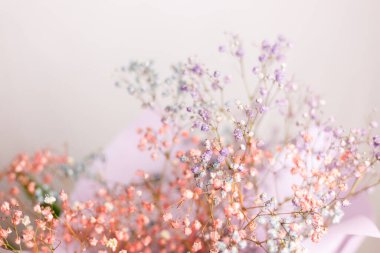 Güzel dekorasyon, küçük kurumuş renkli çiçekler, arka plan, duvar kağıdı..