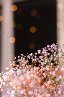 Güzel dekorasyon. Küçük kurumuş çiçekler. Siyah arka planda, duvar kağıdı..