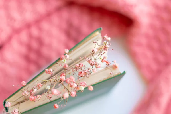 Green book with dry flowers on a pink warm knitted sweater background